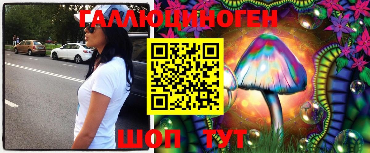 Псилоцибиновые грибы Cubensis  где найти наркотики  Ефремов  Вход с VPN 